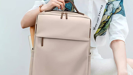 迪先箱包：为巴黎世家定制专属商务通勤包案例